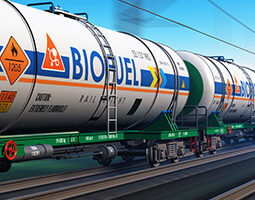 biofuel (2)